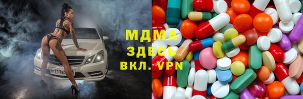 spice Богданович
