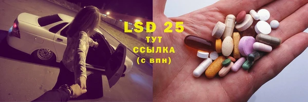 spice Богданович