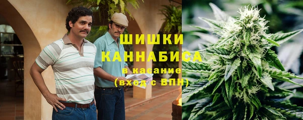 spice Богданович