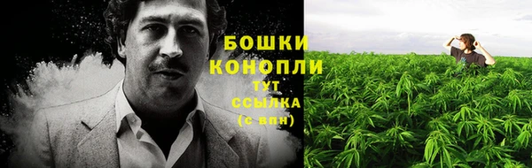 каннабис Беломорск