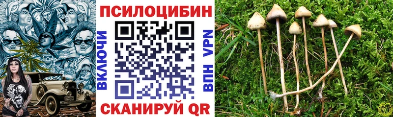 мега   Олёкминск  Псилоцибиновые грибы мицелий 